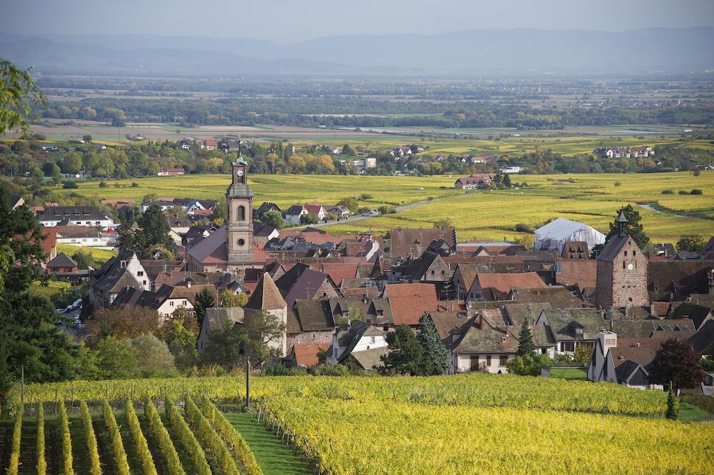Maison Rebleuthof Villa Riquewihr Buitenkant foto